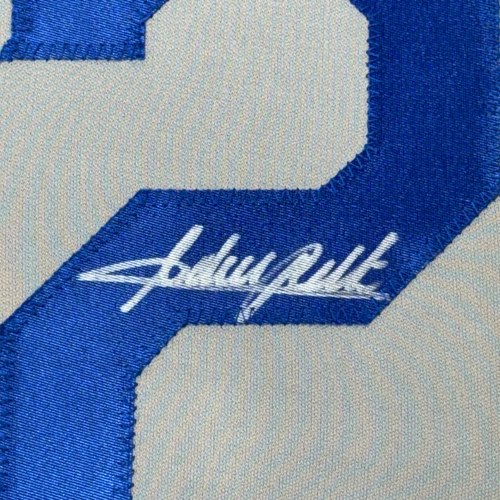 Framed Autographed/Signed Adrian Beltre 35x39 Texas Grey Baseball Jersey JSA COA