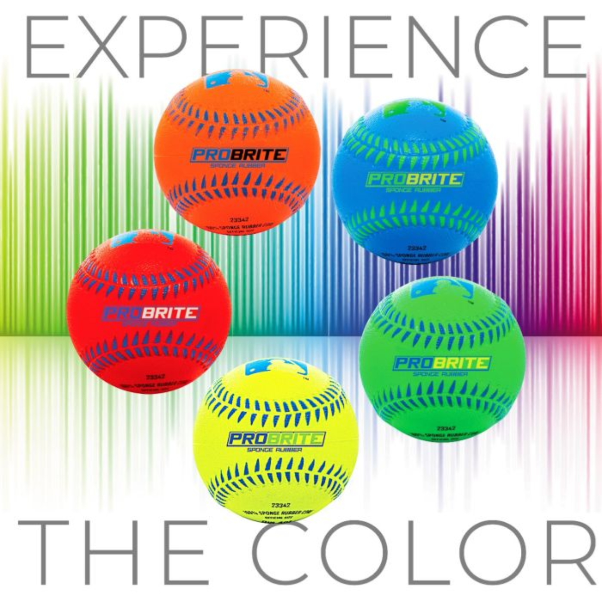 Franklin Probrite Neon Rubber 1 Random color Ball